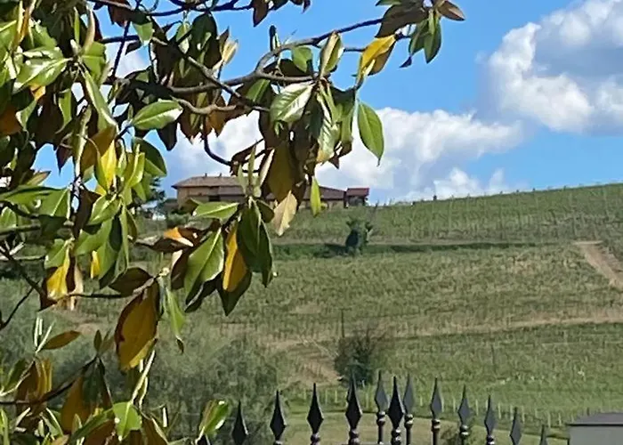 Bed & Breakfast Piemonte